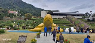 사천시향촌동 돼지띠님의 장터이야기 · 자유게시판 작성글 사진