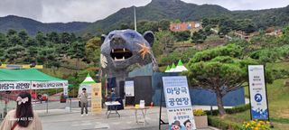 사천시향촌동 돼지띠님의 장터이야기 · 자유게시판 작성글 사진