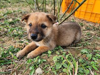 노아님의 우리동네 · 무료나눔 작성글 사진