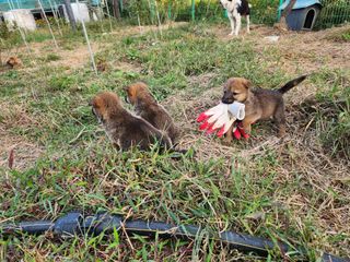 노아님의 우리동네 · 무료나눔 작성글 사진