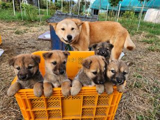 노아님의 우리동네 · 무료나눔 작성글 사진