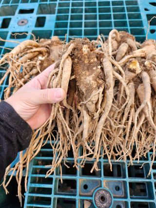 예리미아님의 작성글 사진