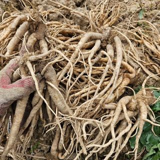 예리미아님의 작성글 사진