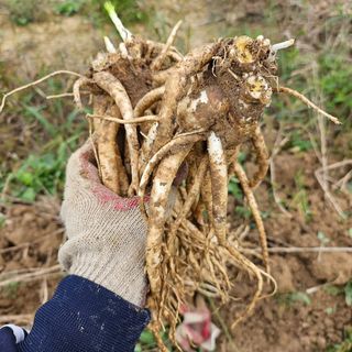 예리미아님의 작성글 사진