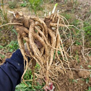 예리미아님의 작성글 사진