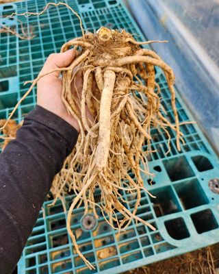 예리미아님의 작성글 사진