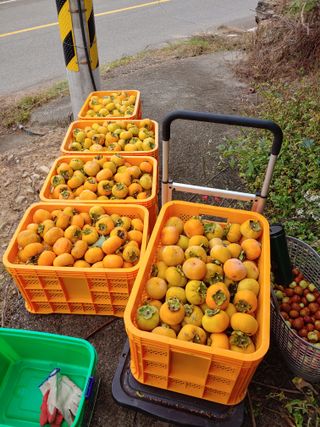 천승준님의 자유주제 · 자유게시판 작성글 사진
