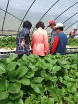 팜모닝 작목반 소개하고 지원받기·참여글 게시글 이미지