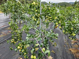 이덕수님의 자유주제 · 자유게시판 작성글 사진