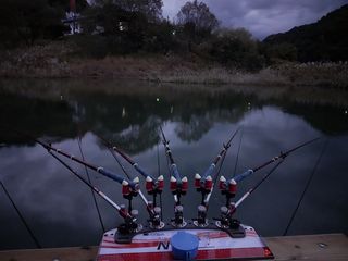 김정술님의 자유주제 · 자유게시판 작성글 사진