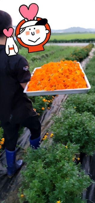 대박차 농장님의 작목반 소개하고 지원받기 · 참여글 작성글 사진