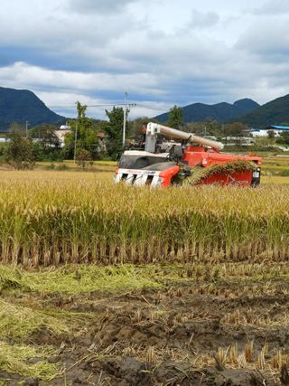 박원용님의 작목반 소개하고 지원받기 · 참여글 작성글 사진