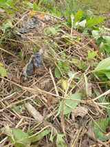 팜모닝 자유주제·자유게시판 게시글 이미지