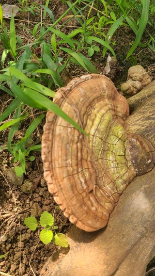 오정현님의 귤 · 일상 작성글 사진
