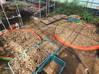 약초원 김종군님의 작성글 사진