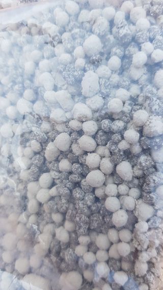 비옥토님의 자유주제 · 자유게시판 작성글 사진