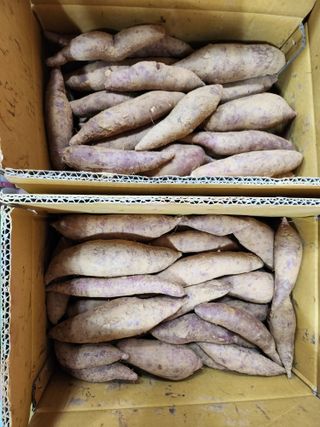 김복자님의 작목반 소개하고 지원받기 · 참여글 작성글 사진