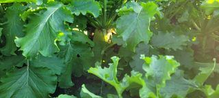 박영준님의 자유주제 · 자유게시판 작성글 사진