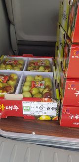 팜모닝 기타작물·영농일지 게시글 이미지