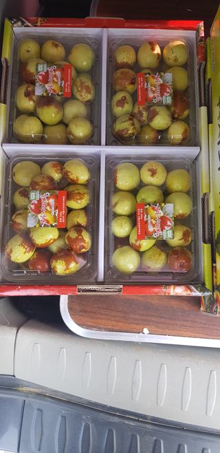 운치농장님의 기타작물 · 영농일지 작성글 사진