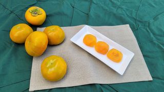 빈현린님의 감 · 자유게시판 작성글 사진