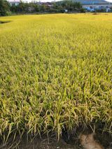 팜모닝 작목반 소개하고 지원받기·참여글 게시글 이미지