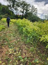 팜모닝 작목반 소개하고 지원받기·참여글 게시글 이미지