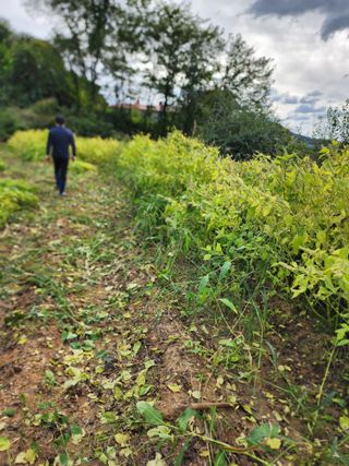  청계유정란 박진균님의 작목반 소개하고 지원받기 · 참여글 작성글 사진