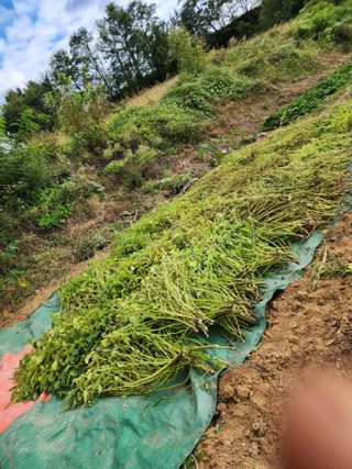  청계유정란 박진균님의 작목반 소개하고 지원받기 · 참여글 작성글 사진