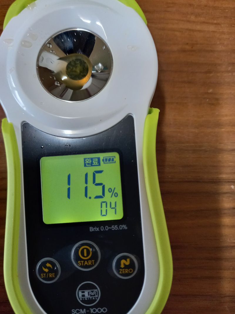 부금리(금강농원)님의 장터 판매 상품 [노지극조생귤 혼합과10키로] 첨부 사진