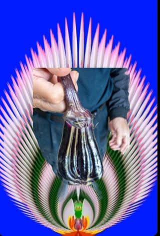 인생은 소풍처럼~님의 자유주제 · 자유게시판 작성글 사진