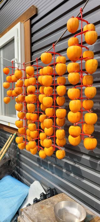 이의도님의 작목반 소개하고 지원받기 · 참여글 작성글 사진