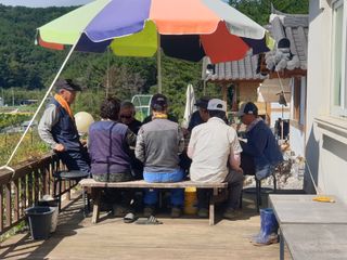 최순님의 자유주제 · 자유게시판 작성글 사진