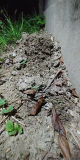 팜모닝 자유주제·자유게시판 게시글 이미지