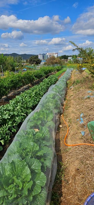 명희님의 작목반 소개하고 지원받기 · 참여글 작성글 사진