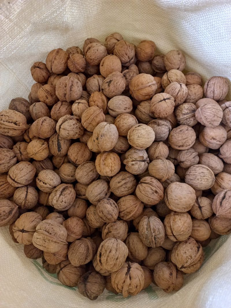 이명숙님의 장터 판매 상품 [더덕1kg13000원호두1kg15000원] 첨부 사진