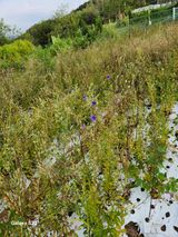 팜모닝 작목반 소개하고 지원받기·참여글 게시글 이미지