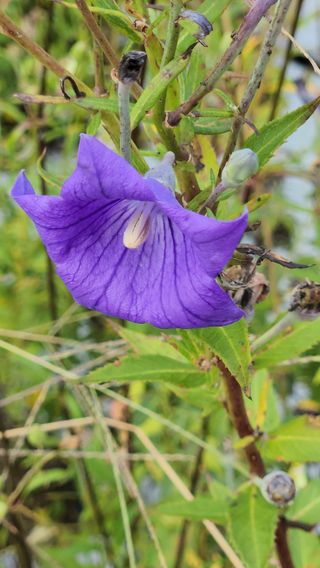 청정지역금순이님의 작목반 소개하고 지원받기 · 참여글 작성글 사진