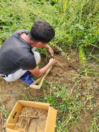 청정지역금순이님의 작목반 소개하고 지원받기 · 참여글 작성글 사진