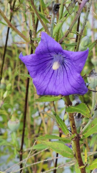 청정지역금순이님의 작목반 소개하고 지원받기 · 참여글 작성글 사진