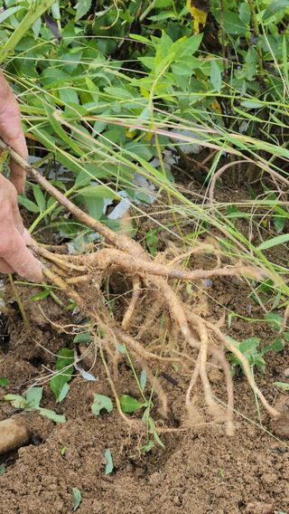 청정지역금순이님의 작목반 소개하고 지원받기 · 참여글 작성글 사진