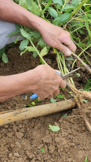청정지역금순이님의 작목반 소개하고 지원받기 · 참여글 작성글 사진