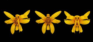 정진해님의 자유주제 · 사진전 작성글 사진