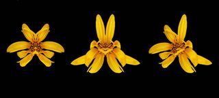 정진해님의 자유주제 · 사진전 작성글 사진