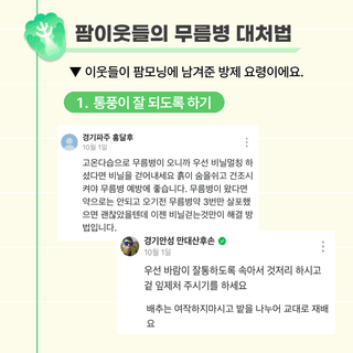 팜모닝 농사도우미님의 배추 · 일상 작성글 사진