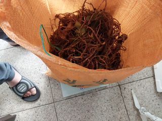 김봉호님의 작성글 사진