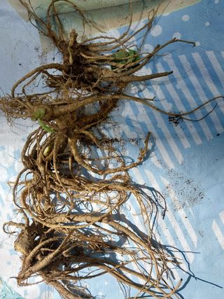 김봉호님의 작성글 사진