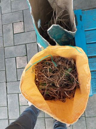 김봉호님의 작성글 사진