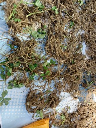 김봉호님의 작성글 사진