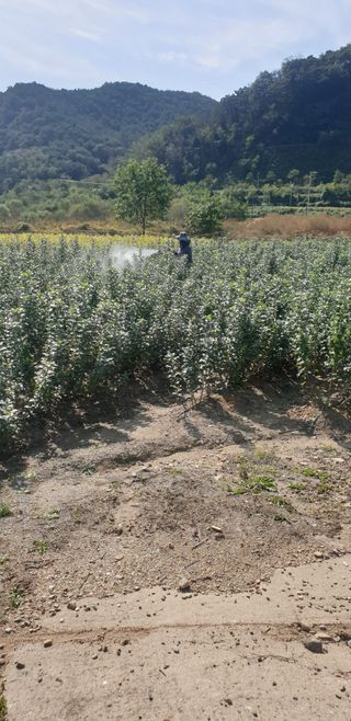 김화순님의 자유주제 · 자유게시판 작성글 사진